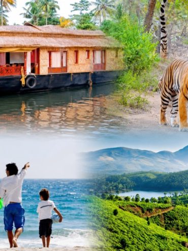Best Family Tour Packages in India 2026